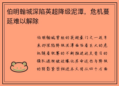 伯明翰城深陷英超降级泥潭，危机蔓延难以解除